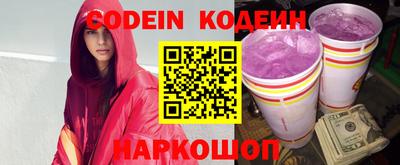 стафф Кингисепп