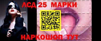 стафф Кингисепп