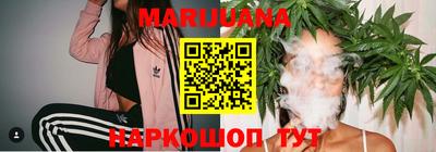 стафф Кингисепп