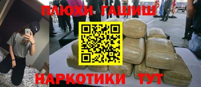 стафф Кингисепп