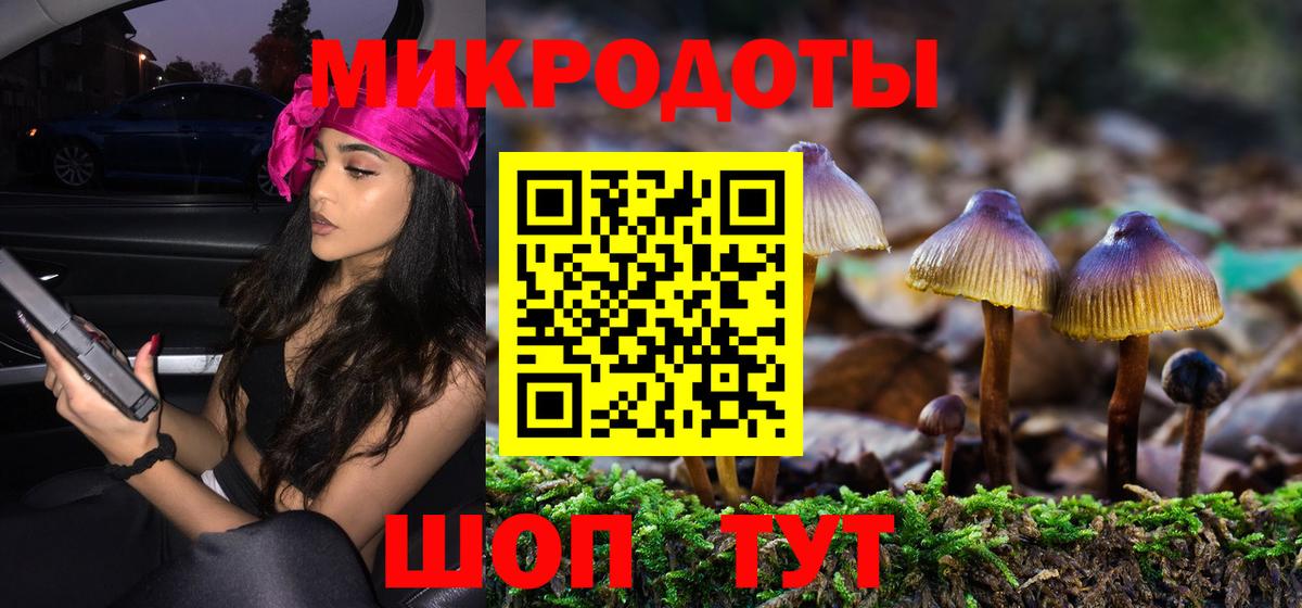Галлюциногенные грибы Psilocybe Котельники