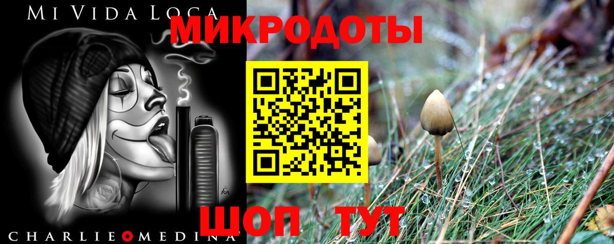 Котельники  Псилоцибиновые грибы MAGIC MUSHROOMS  Вход с VPN 